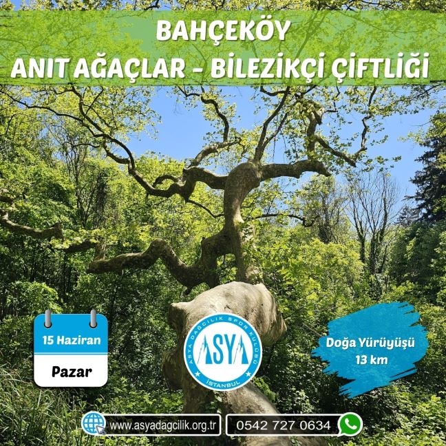 BAHÇEKÖY-ANIT AĞAÇLAR- BİLEZİKÇİ ÇİFTLİĞİ 