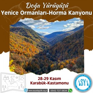 YENİCE ORMANLARI VE HORMA KANYONU HIKING